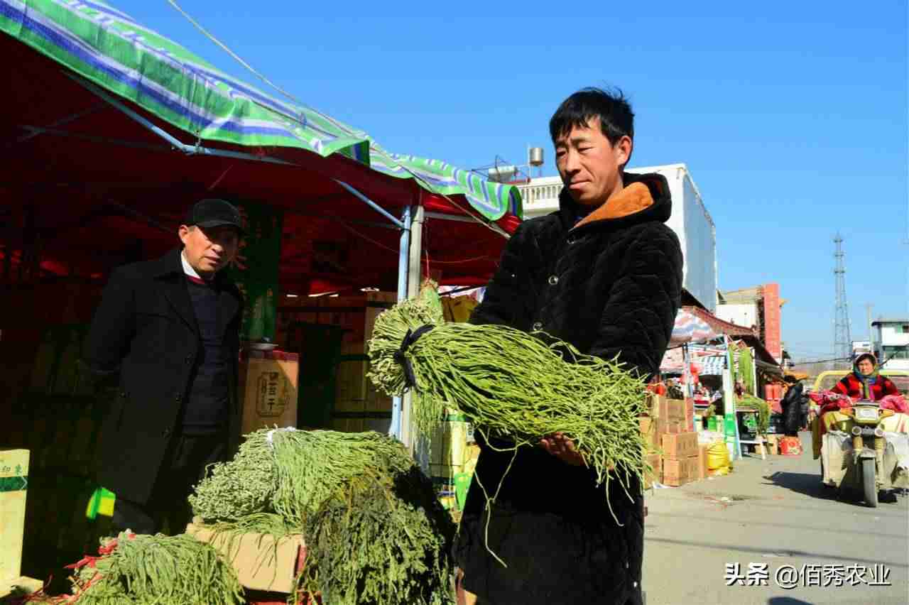 现在卖什么最赚钱利润大(2021年摆摊创业小项目)-第4张图片 现在卖什么最赚钱利润大(2021年摆摊创业小项目)-第4张图片