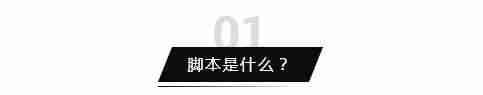 直播带货脚本话术（教你策划一场直播营销活动）-第1张图片
