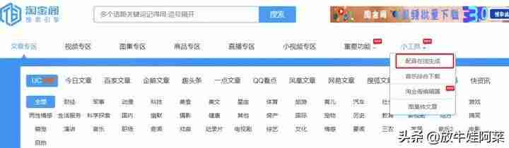 抖音网址是什么（抖音企业认证官方网站）-第14张图片