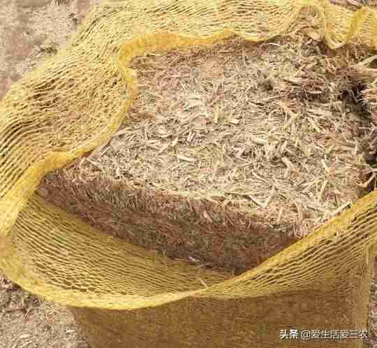 现在什么最赚钱投资小(投资小赚钱快的创业项目)-第11张图片 现在什么最赚钱投资小(投资小赚钱快的创业项目)-第11张图片