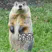 png图片怎么转换成jpg格式(手机png图片编辑器使用方法)-第1张图片 png图片怎么转换成jpg格式(手机png图片编辑器使用方法)-第1张图片