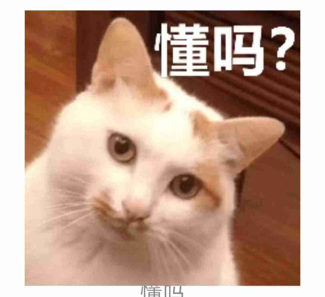 抖音编辑视频软件有哪些（视频加文字和说话同步的方法）-第1张图片
