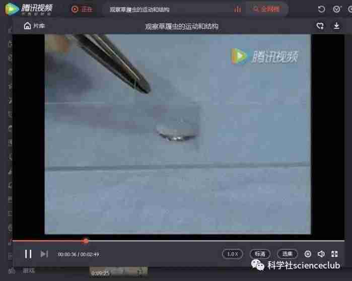 qlv格式转换成mp4转换器(腾讯qlv转换mp4最简单方法)-第1张图片 qlv格式转换成mp4转换器(腾讯qlv转换mp4最简单方法)-第1张图片