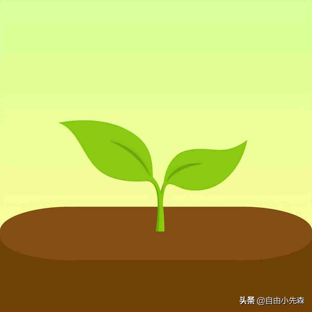 看视频赚钱app哪个最靠谱（网上兼职赚钱正规平台软件）-第8张图片