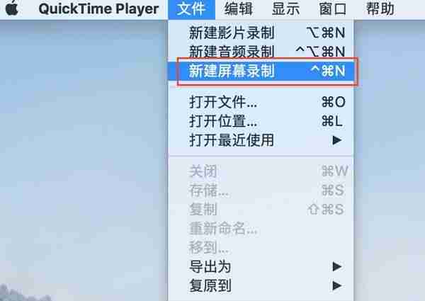 苹果屏幕录制怎么设置声音(教你设置隐私应用锁)-第3张图片 苹果屏幕录制怎么设置声音(教你设置隐私应用锁)-第3张图片