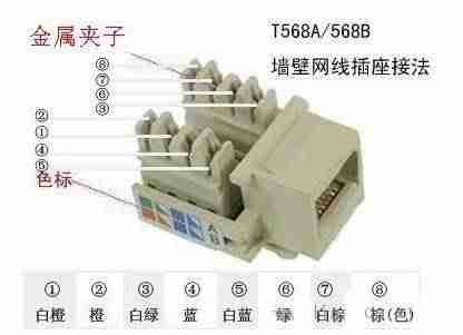 如何接网线水晶头(连接电脑网线的方法)-第5张图片 如何接网线水晶头(连接电脑网线的方法)-第5张图片