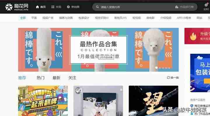抖音网址是什么（抖音企业认证官方网站）-第6张图片