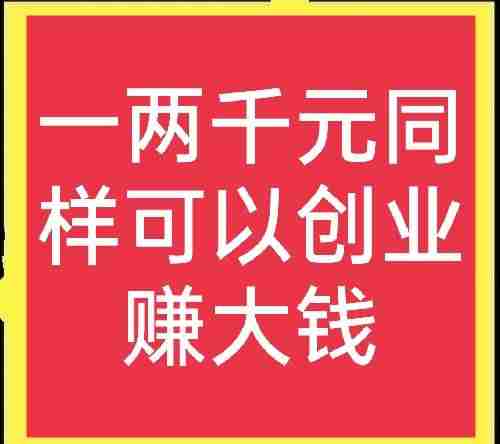 没本钱干什么挣钱快（5千元以下投资小项目）-第1张图片