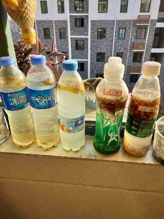 在家做什么小生意好做(网上工作在家可做)-第3张图片 在家做什么小生意好做(网上工作在家可做)-第3张图片