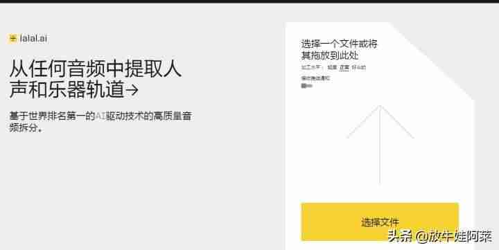 抖音网址是什么（抖音企业认证官方网站）-第17张图片