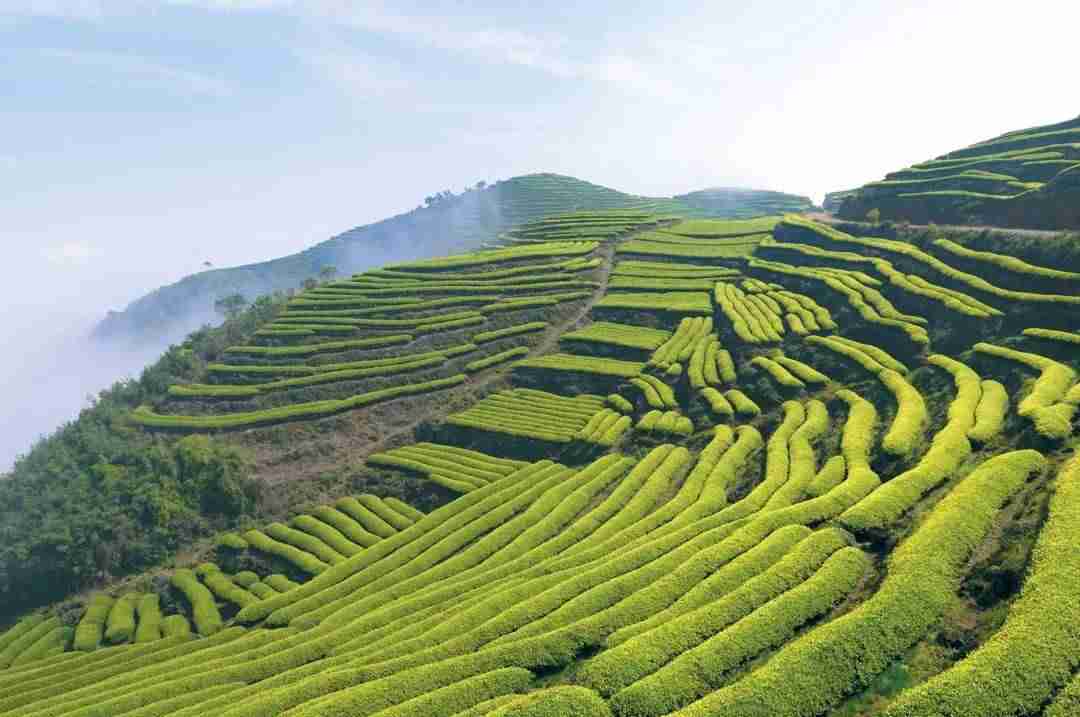 抖音网红景点排名（2021抖音里最火的旅游景点）-第12张图片