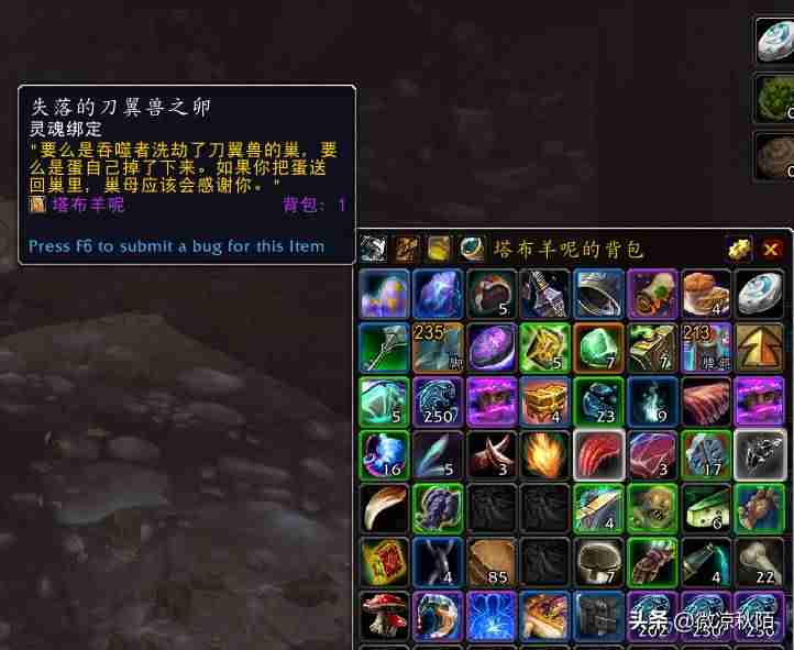 魔兽世界坐骑怎么获得攻略（魔兽世界简单易得的坐骑）-第4张图片