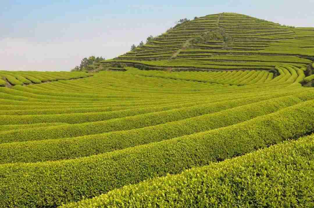 抖音网红景点排名（2021抖音里最火的旅游景点）-第11张图片