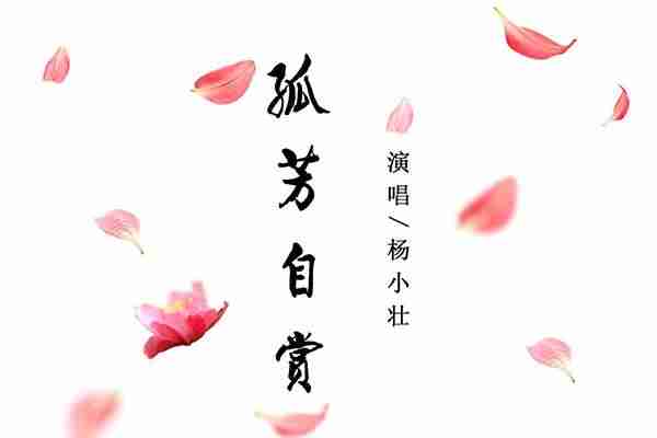 抖音里的音乐怎么提取（分享抖音常用的歌曲）-第3张图片