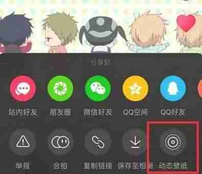 苹果手机如何设置动态壁纸有声音(从相册设置动态壁纸的步骤)-第5张图片 苹果手机如何设置动态壁纸有声音(从相册设置动态壁纸的步骤)-第5张图片