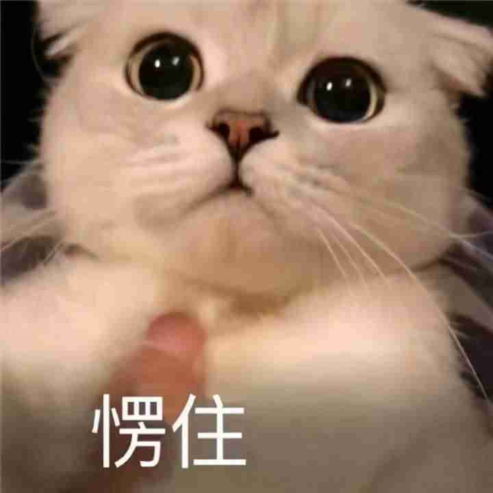 怎么样才能赚钱快又多（一个人0资金创业知识）-第4张图片