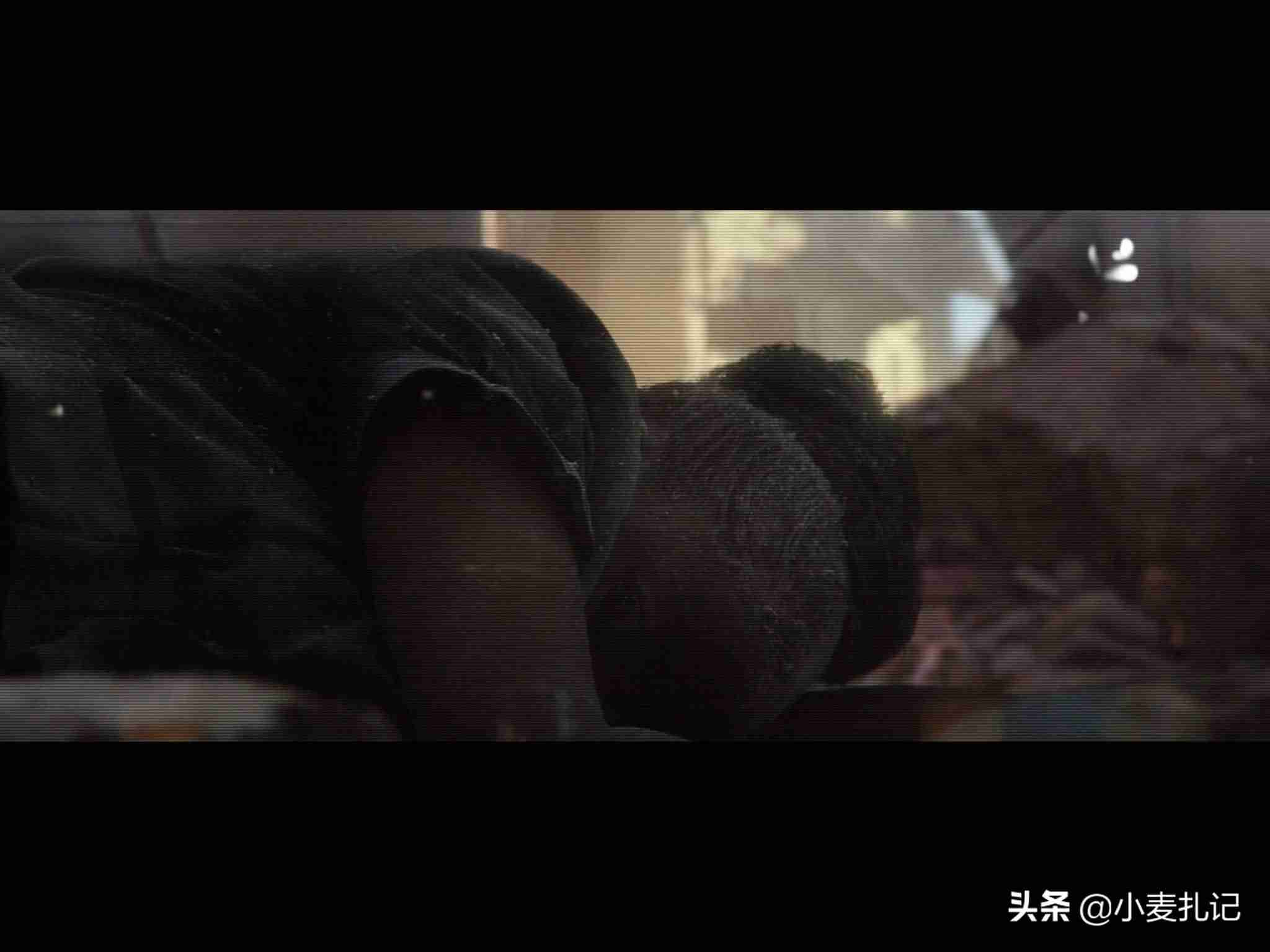 怎么把电影放到ipad里(ipad和windows电脑传输)-第9张图片 怎么把电影放到ipad里(ipad和windows电脑传输)-第9张图片