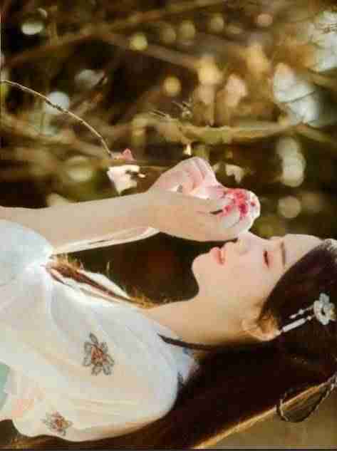 美图秀秀如何换照片底色为白色(上传jpg格式照片的技巧)-第9张图片 美图秀秀如何换照片底色为白色(上传jpg格式照片的技巧)-第9张图片