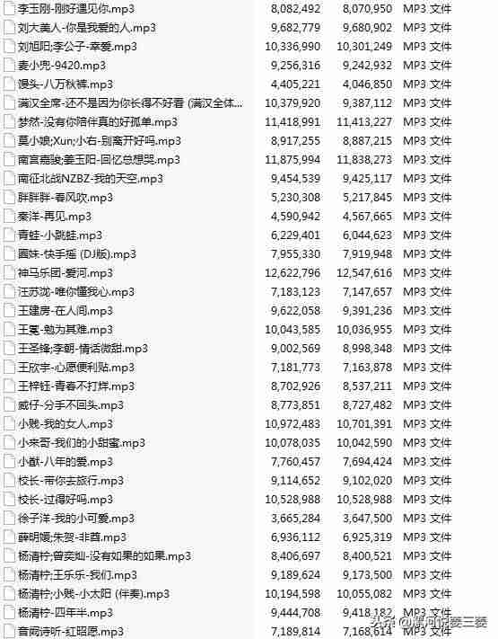 近期抖音歌曲合集（抖音2021最火串烧DJ）-第14张图片