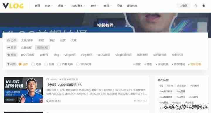 抖音网址是什么（抖音企业认证官方网站）-第1张图片