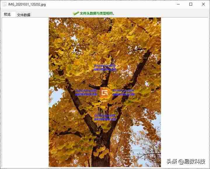 移动硬盘灯亮但不读取无法识别（移动硬盘无法读取修复方法）-第9张图片