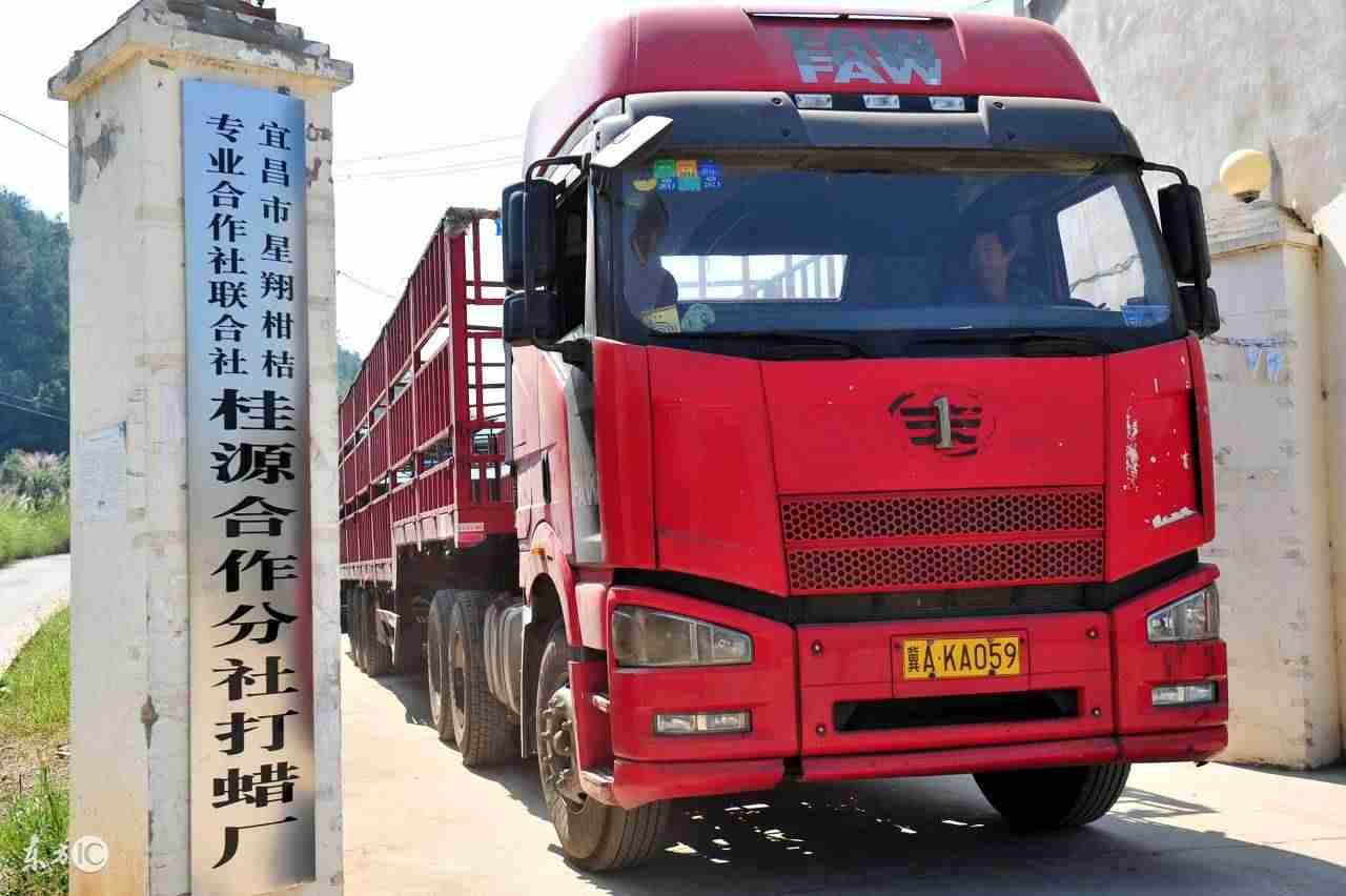 干什么最赚钱最快-现在农民做的赚钱生意-第2张图片