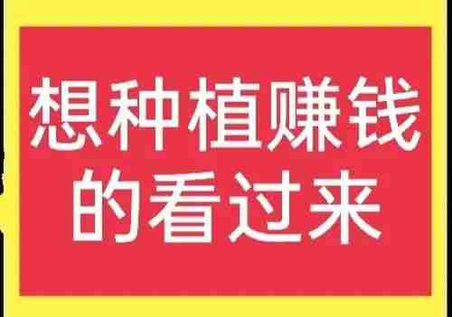 没钱做什么能赚钱（1万小投资加盟开店）-第1张图片