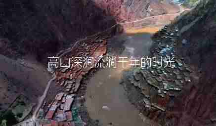 拍视频技巧都有哪些-新手小白做短视频的技巧-第3张图片