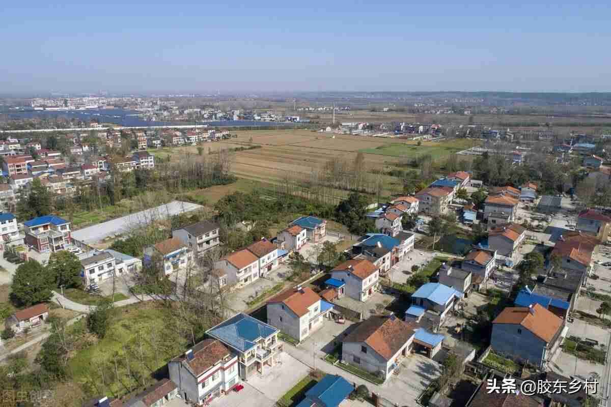 2021年在农村做什么赚钱-山区农村挣钱项目-第6张图片