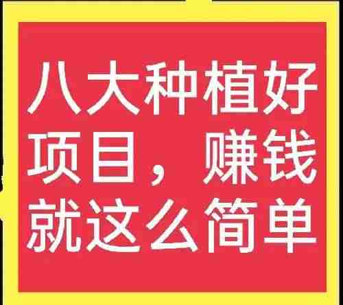 农村致富种值项目有哪些（适合穷人没本钱的养殖）-第2张图片