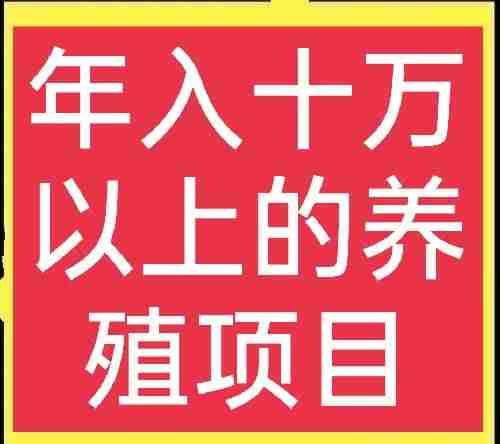 现在搞养殖什么最赚钱（小型加工厂加盟项目排行榜）-第1张图片