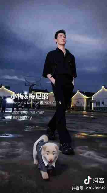 抖音怎么涨粉快一些-最容易涨粉的短视频步骤-第9张图片