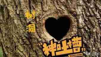 可靠网上兼职平台有哪些（手工活兼职不收押金免费供货真相）-第6张图片
