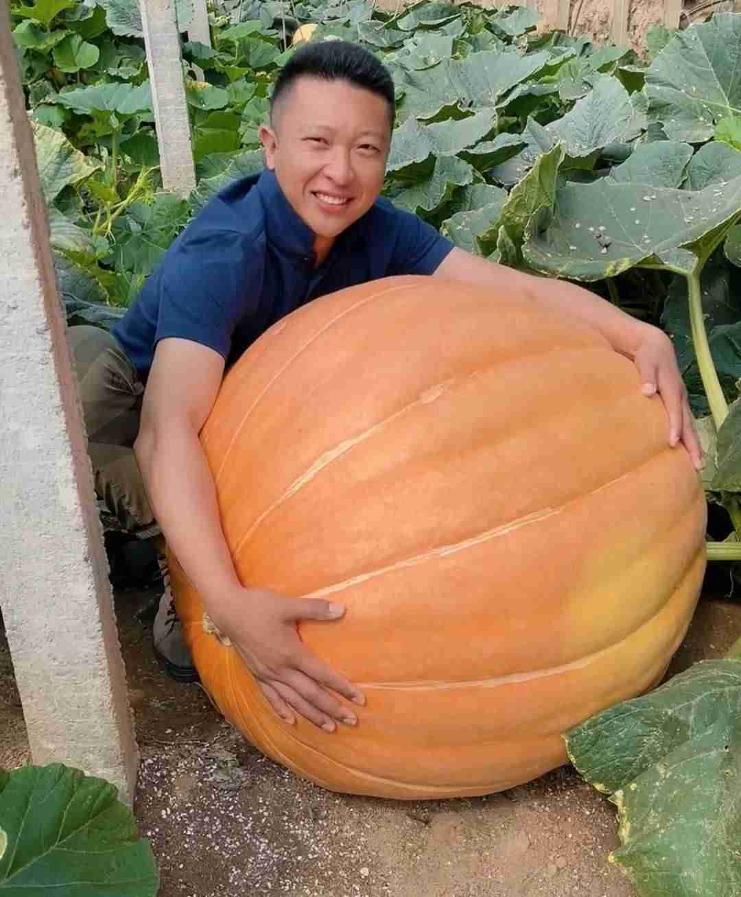 男子放弃5万月薪回家种菜吸粉百万（在那里可以尽情释放激情）-第8张图片
