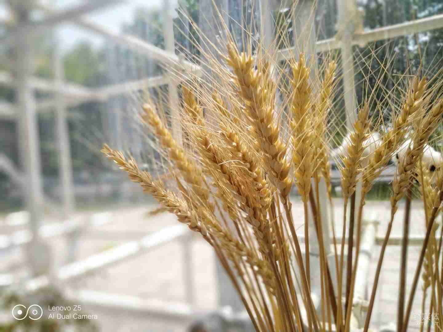 联想z5参数配置-骁龙865处理器手机性价比排行榜-第32张图片