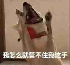 网页版抖音怎么配音乐-手机网页版抖音使用-第3张图片