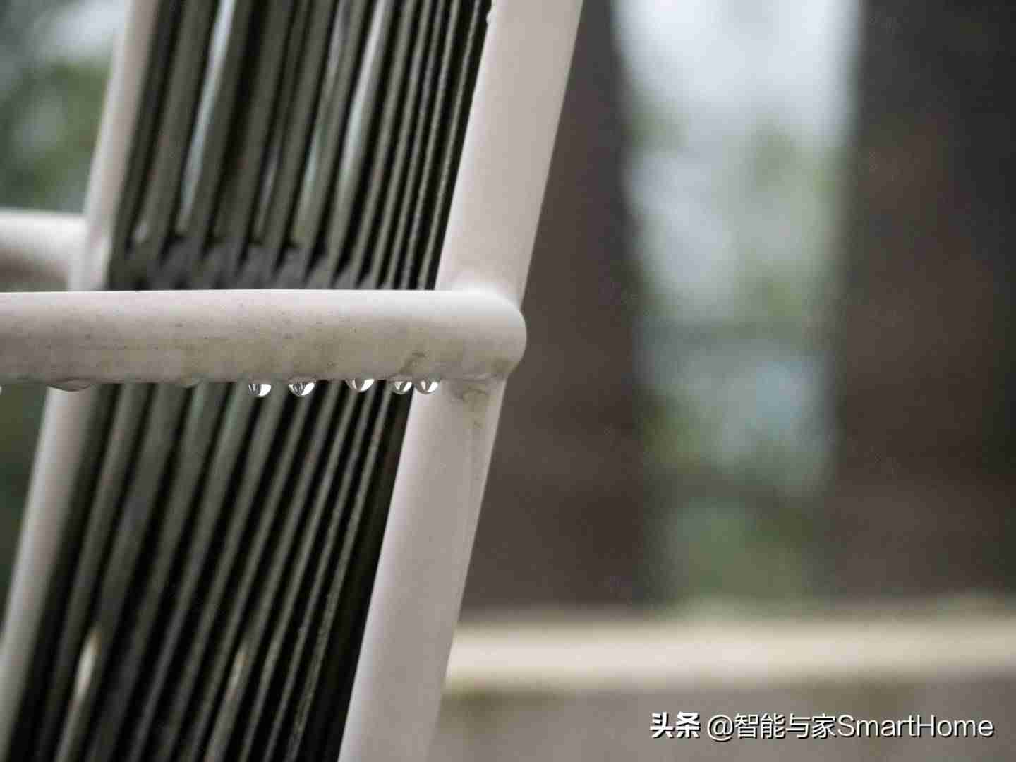奥林巴斯em10二代参数-奥林巴斯最好的定焦镜头-第33张图片