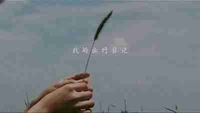 手机拍视频怎么剪辑（手机拍摄短视频教程）-第5张图片