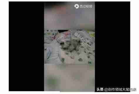 视频转换精灵软件-手机amv视频格式转换器-第6张图片