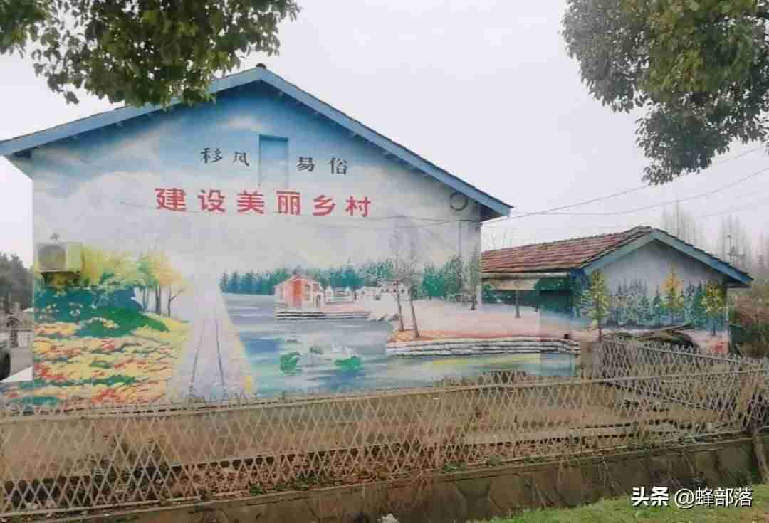 现在农民干什么能挣钱-在农村没本钱赚钱项目-第1张图片