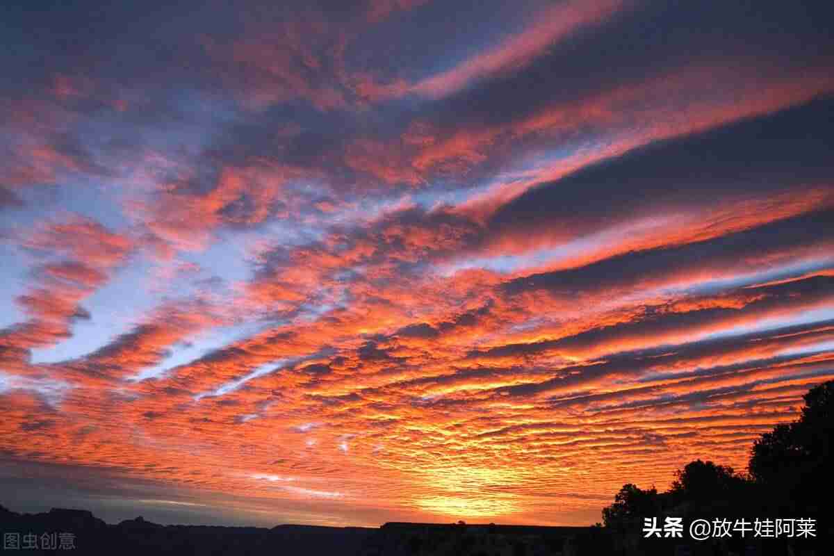 抖音短视频用户行为-分享短视频素材-第2张图片