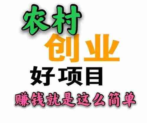 农村致富种值项目有哪些（适合穷人没本钱的养殖）-第1张图片