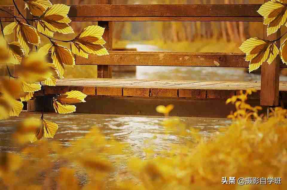 免费手机拍摄技巧视频教程-手机拍短视频拍摄手法-第5张图片