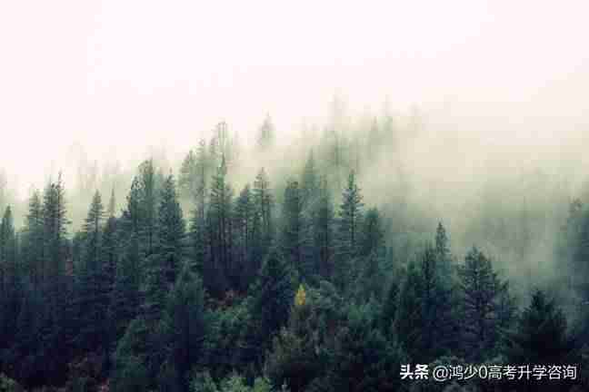 怎么拍抖音视频教程（手机录制别人的直播视频的方法）-第2张图片