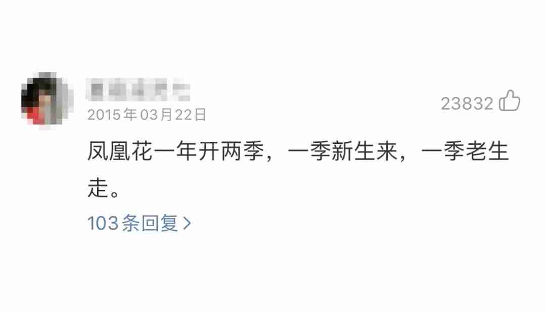 电脑网易云音乐怎么加好友（找别人网易云账号）-第4张图片