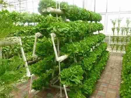没钱做什么能赚钱（1万小投资加盟开店）-第4张图片