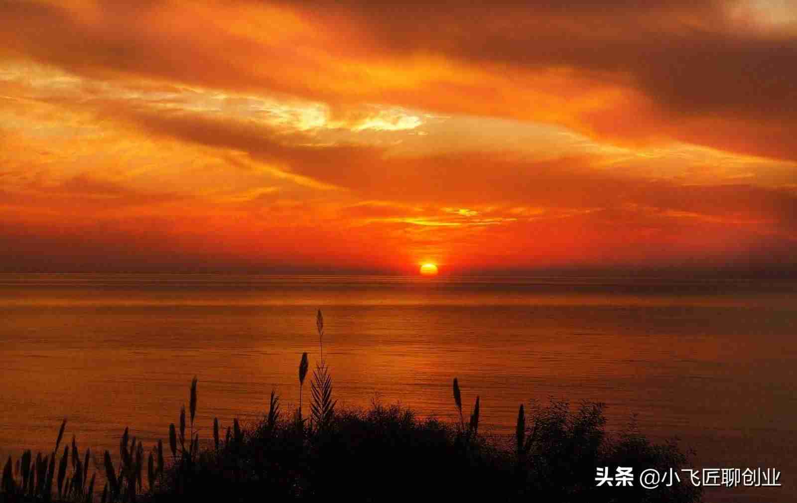 怎么能快速赚钱的方法-0元投资在家就能赚钱-第3张图片