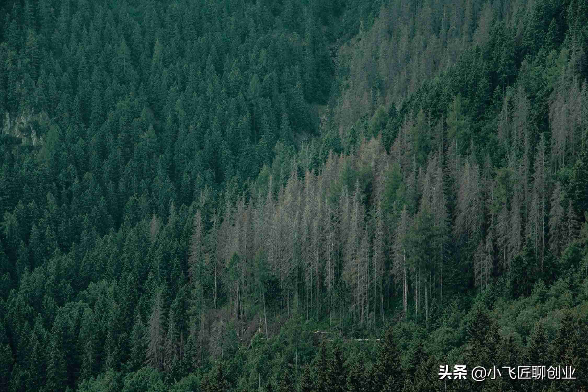 怎么能快速赚钱的方法-0元投资在家就能赚钱-第2张图片