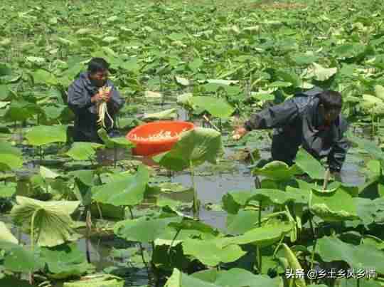未成年如何在家赚钱（网上赚钱最简单的方法）-第3张图片