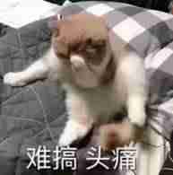 excel打印选定区域怎么操作-excel序号自动填充方法-第2张图片